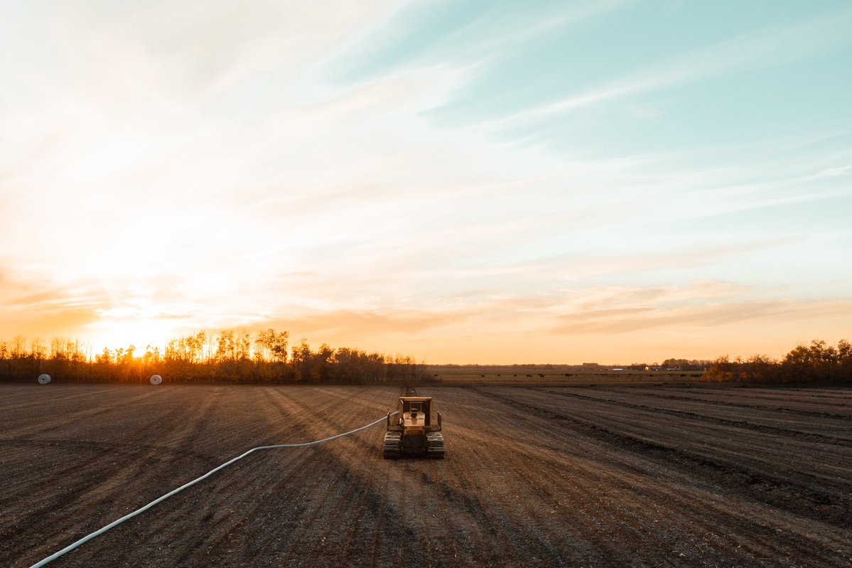 Enjoy the long weekend, you deserve it!
<
<
<
<
<
#tiledrainage #tile #Drainage #drainagesolutions #TeamWork #agservice #subsurfacedrainage #agriculture #ag #drainagesystem #drainagetechnology #cropland #earthmover #earthmovers #earthmovingequipment #PLS #fielddrainage #CAT