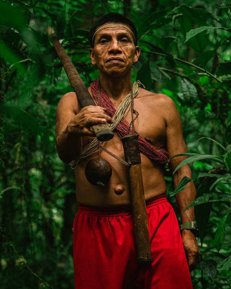 Territorio Waorani - Amazonas