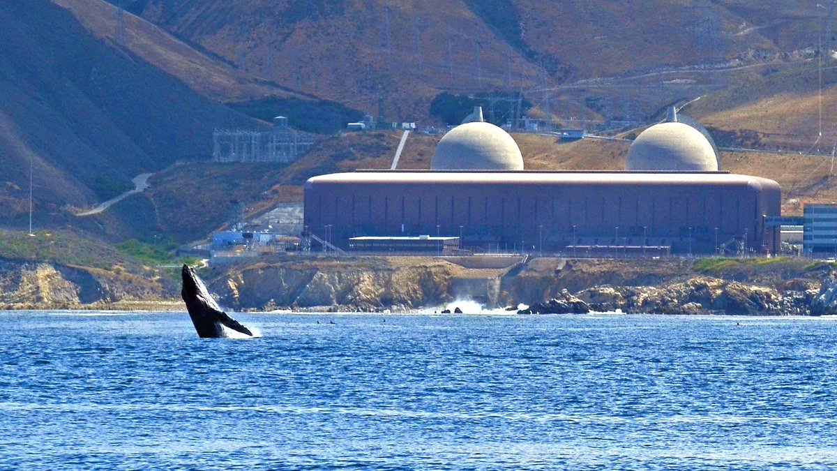 Michael Shellenberger tweet media