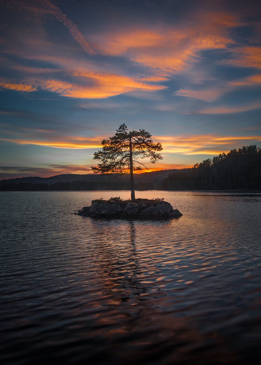 hauglandphoto's tweet image. NFT photography 🚀
Have a great weekend everyone!

Vegårshei, Norway