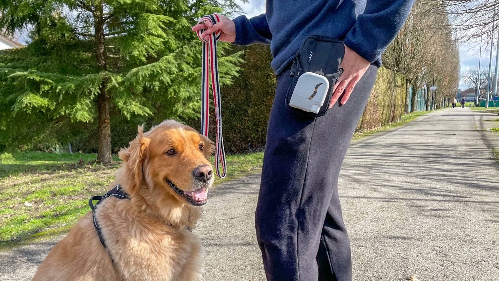 Gadget Flow on Twitter "The EZ Treat allinone dog treat carrier