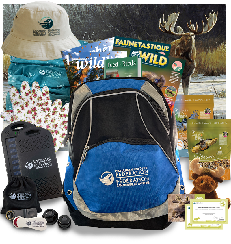 CWF_FCF's tweet photo. ✨CONTEST ALERT✨
Between April 10 and June 8, we will be giving away one of six exciting CWF #DoMoreForWildlife prize bundles and a special grand prize. All to celebrate CWF's #60YearsofConservation!
Simply visit https://t.co/g5iD4ahS4t and register your information! https://t.co/dsQGNqgOmL