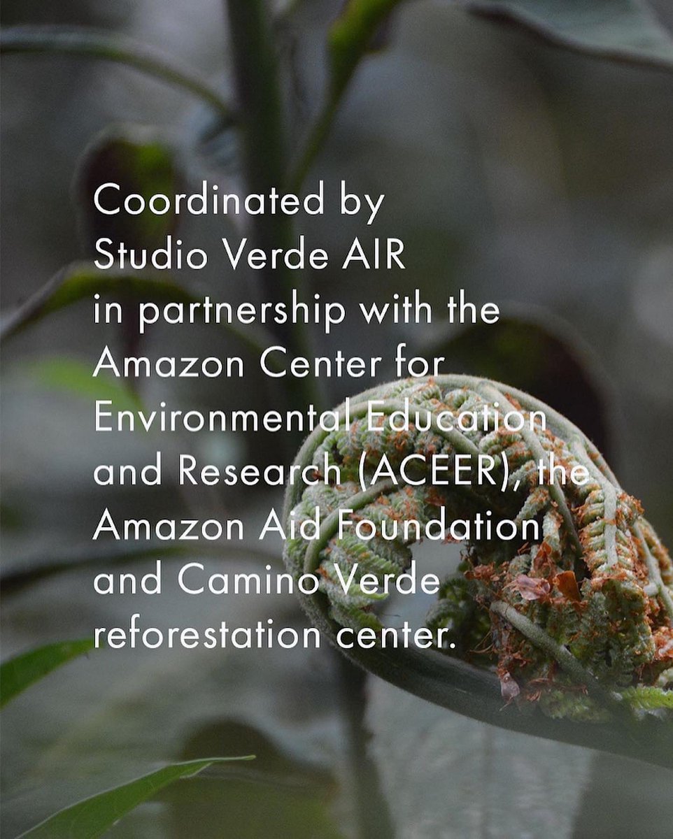 StudioVerdeAIR's tweet photo. Funded Artist in Residence program in the Peruvian Amazon now open for applications. Deadline 1st July - Apply here: https://t.co/N5oeEUm0RN #artistinresidence #fundedartistopportunity @ACEERFoundation @AmazonAidF https://t.co/7PCOBmWntO