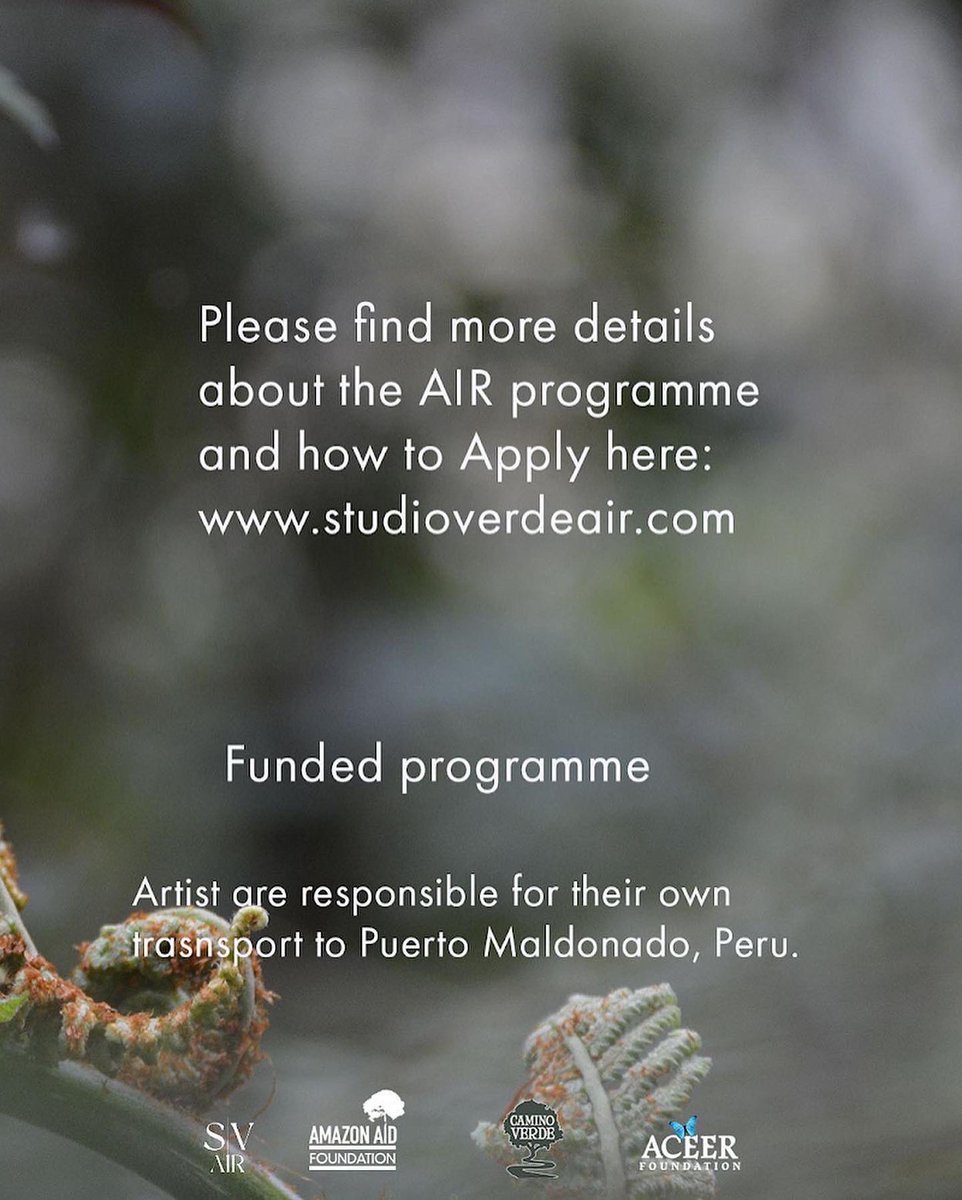 StudioVerdeAIR's tweet photo. Funded Artist in Residence program in the Peruvian Amazon now open for applications. Deadline 1st July - Apply here: https://t.co/N5oeEUm0RN #artistinresidence #fundedartistopportunity @ACEERFoundation @AmazonAidF https://t.co/7PCOBmWntO