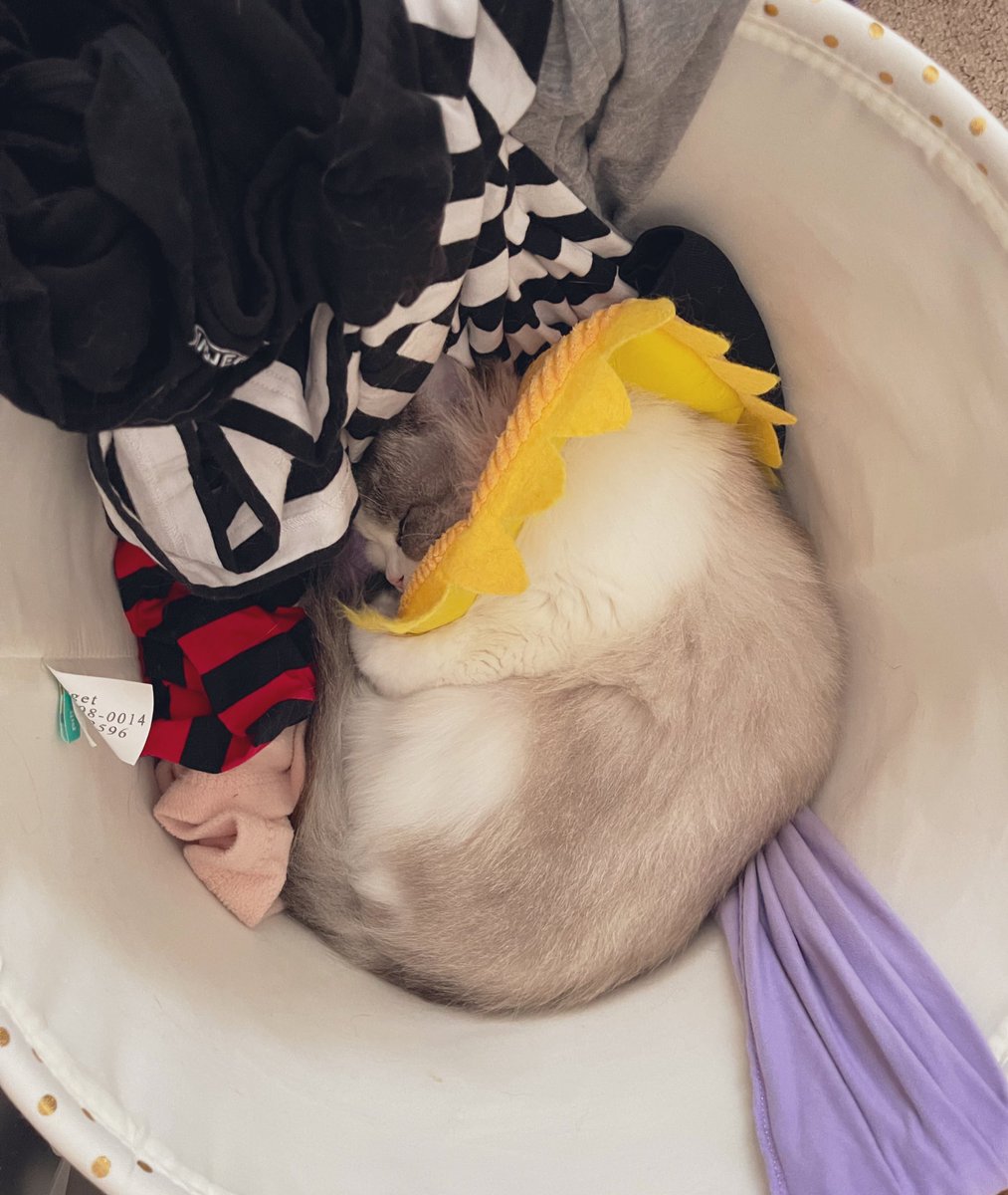 「Guess my laundry is hers now 」|Ashley Nicholsのイラスト
