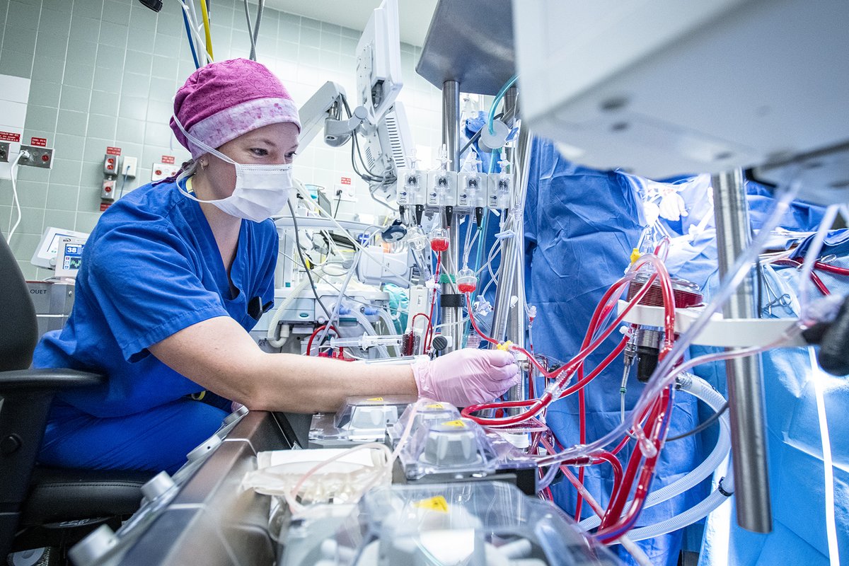 KingstonHSC's tweet photo. Happy #NationalPerfusionWeek to the #myKHSC perfusionists who manage cardiopulmonary (heart and lungs) bypass for around 650 heart surgery patients from across southeastern Ontario. Thank you for all you do to advance cardiac care for patients and families.

#YGK #healthcare https://t.co/XeEqv2pCu2