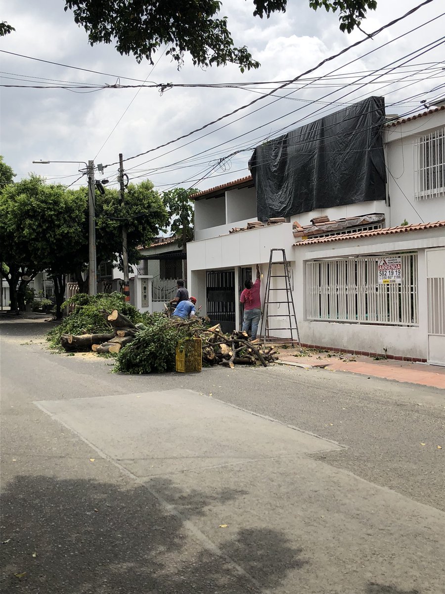 SilviaMaria_614's tweet photo. #Arboricidio @CORPONOR @jhonjacome Ahora en #Caobos cada vez que hacen un local comercial tumban árboles 🌳 para que se les vea la vitrina y no pasa nada? O estos señores tienen alguna licencia para hacerlo? Calle15A con 2Este https://t.co/OcGwWVdzJ0