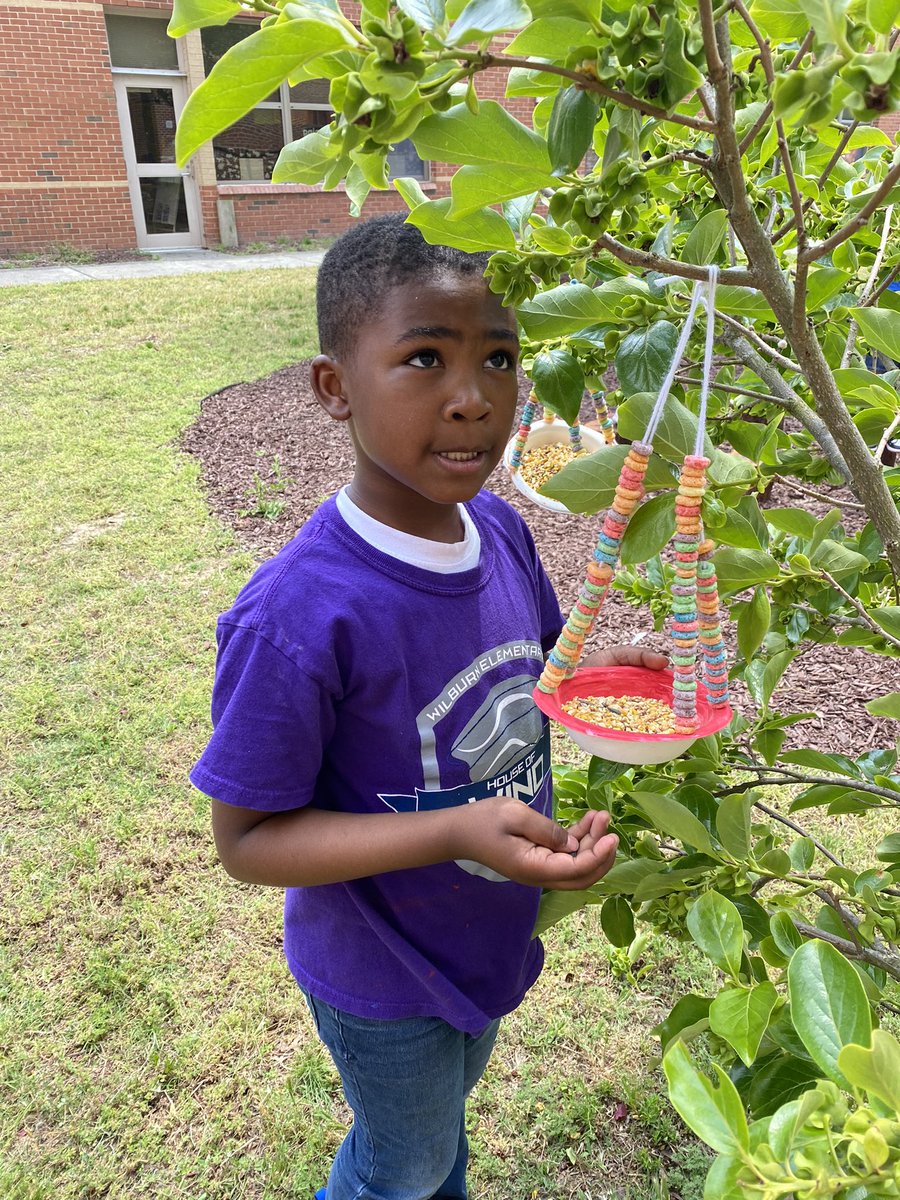 rumphc's tweet photo. Feeding the birds around us and helping the world all at the same time! #WilburnProud #BetterWorldDay #ELEducation #ExpeditionaryLearning https://t.co/5zGVi4Ms4m