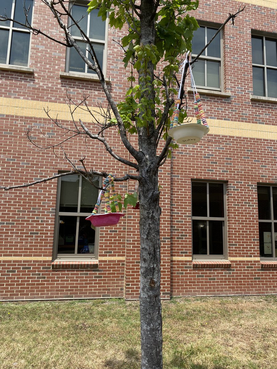 rumphc's tweet photo. Feeding the birds around us and helping the world all at the same time! #WilburnProud #BetterWorldDay #ELEducation #ExpeditionaryLearning https://t.co/5zGVi4Ms4m