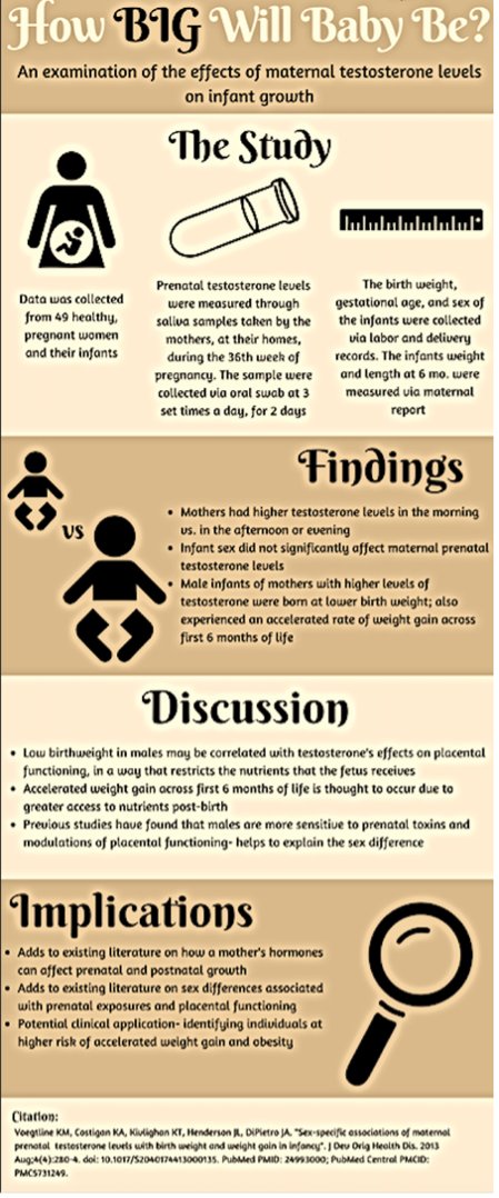 HopkinsHenLab's tweet photo. How big will your baby be? Results from a HEN Lab study suggest mother’s testosterone during pregnancy impacts baby’s growth. See more below! #hopkinshenlab #AcademicTwitter #pregnancy #testosterone https://t.co/S3C2ycMVKT
