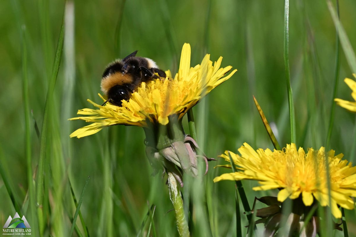 Ewan Miles tweet media