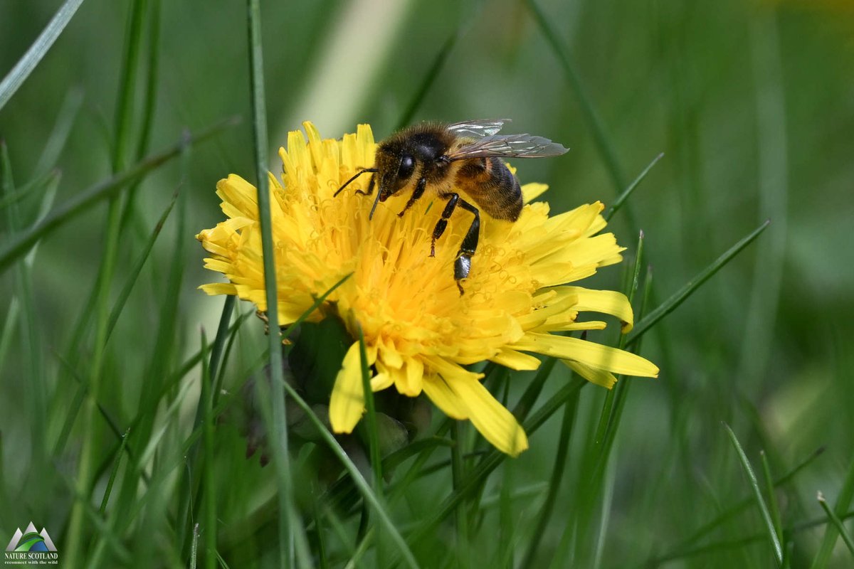 Ewan Miles tweet media