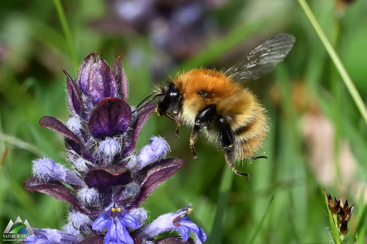 Ewan Miles tweet media