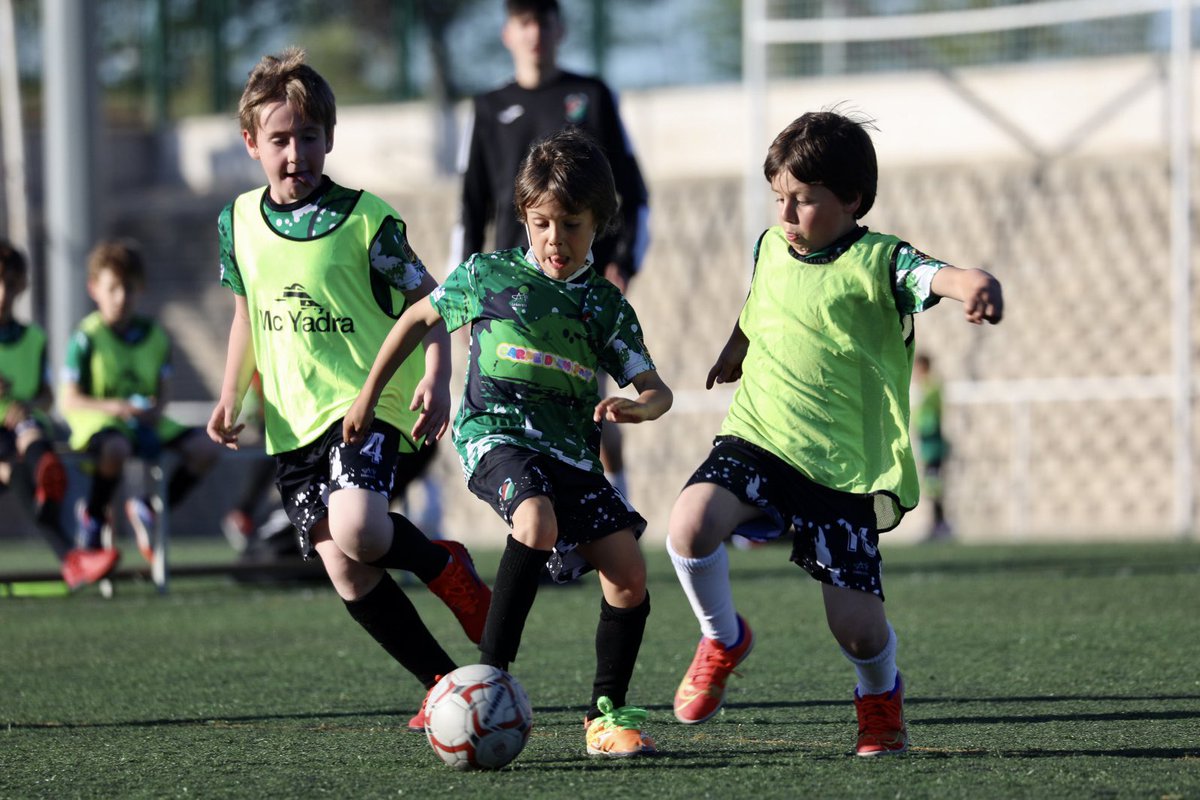 cdeamistad's tweet photo. PREBENJAMINES

Hoy hemos pasado la tarde con los Prebenjamines de 1º año en la sede “Los Mosquitos”.

Cuanta calidad en esas botas tan pequeñas 🤩.

#SoydelAmistad #VamosVerdes https://t.co/kQNugskdhZ