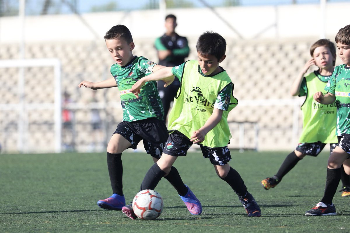 cdeamistad's tweet photo. PREBENJAMINES

Hoy hemos pasado la tarde con los Prebenjamines de 1º año en la sede “Los Mosquitos”.

Cuanta calidad en esas botas tan pequeñas 🤩.

#SoydelAmistad #VamosVerdes https://t.co/kQNugskdhZ