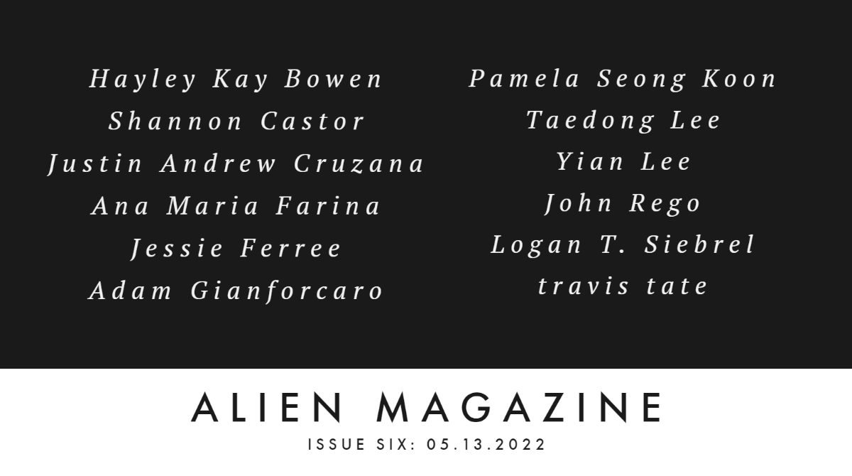 alienlitmag's tweet photo. Issue Six Contributor List. The issue lands 5.13.2022. https://t.co/ZLjZ4qi6I0
