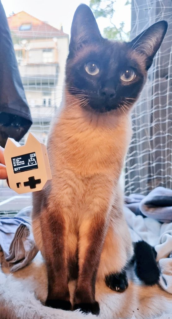 Domenic_Enzo's tweet photo. Today it finally arrived😼🖤🤍
I can finally hold it in my hand today the special #WifiNugget made by @AlexLynd. My cat is also very pleased to model for the special @WiFi_Nugget !

Thank you again very much 😻🤍🖤 https://t.co/BhyboE3kE3
