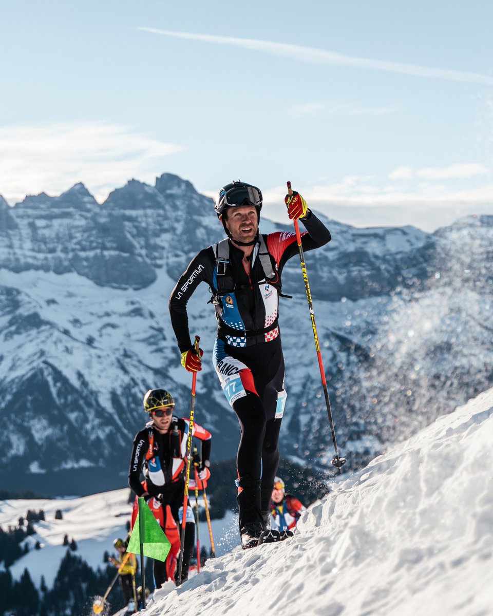 SkiMo Stats tweet media