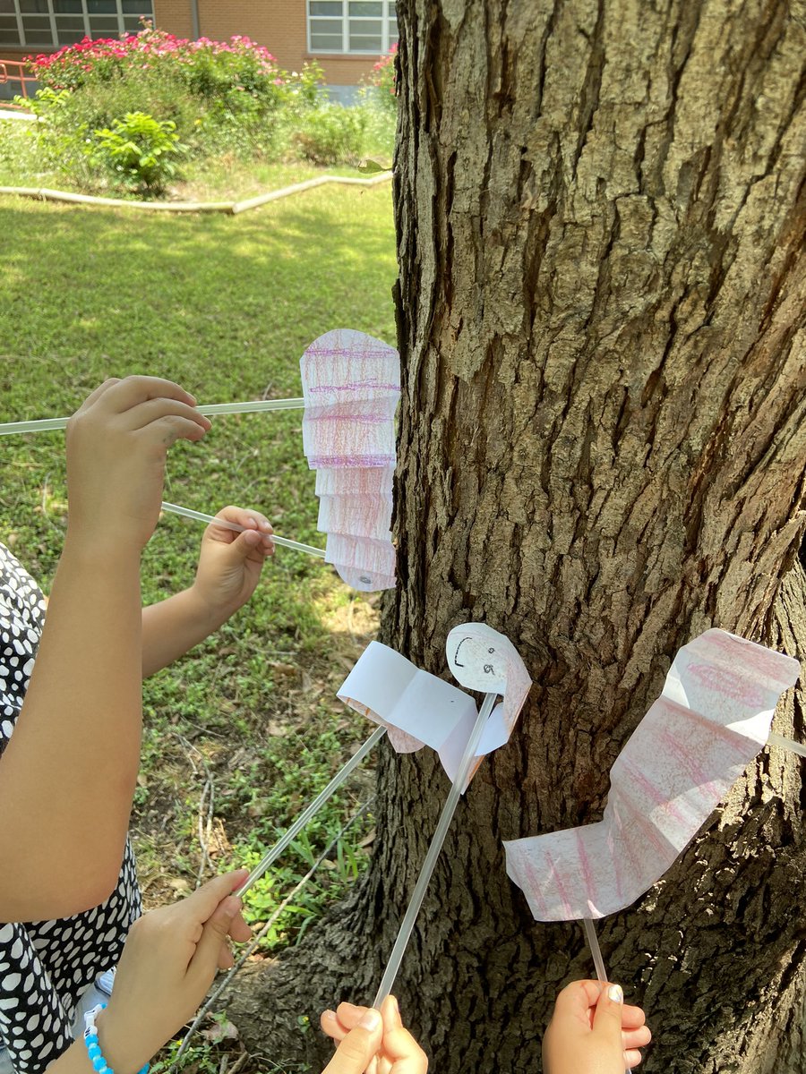 JeniferWells16's tweet photo. Earthworms were spotted in their natural habitats @JeffersonAveES Fun Friday rocks!!! https://t.co/esaiac5SoK