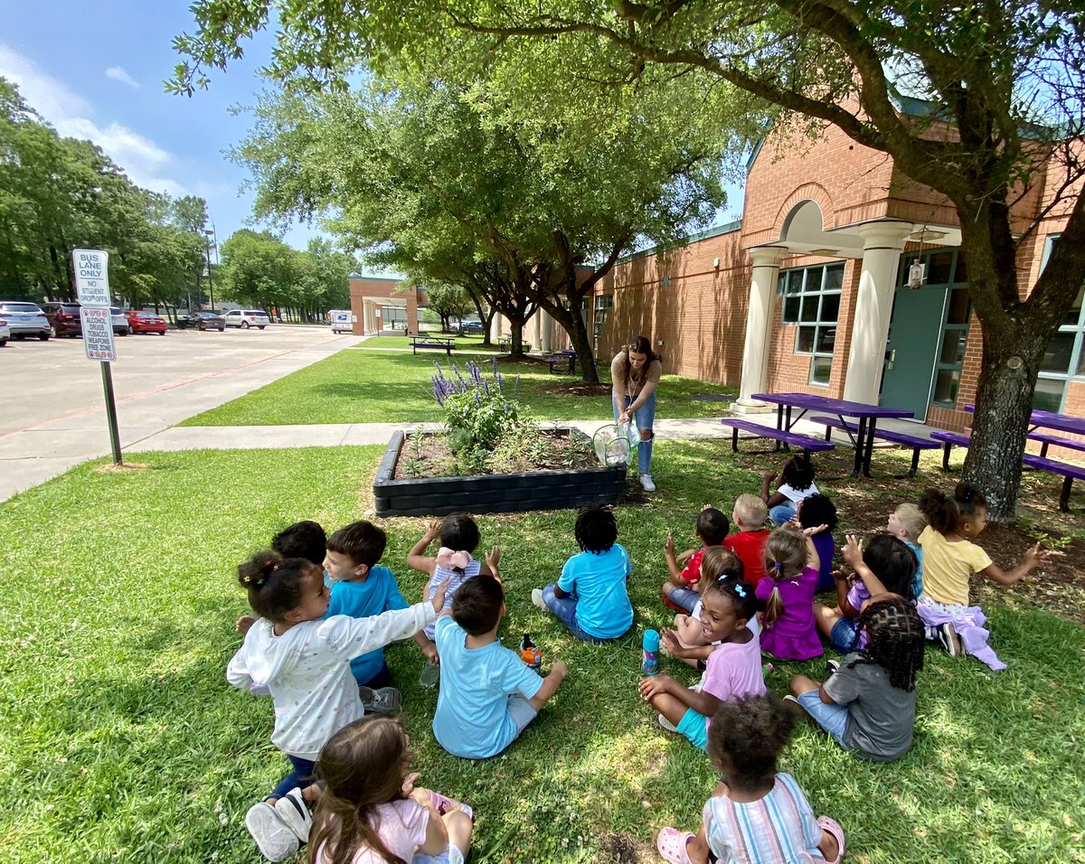 epolomskyprek's tweet photo. Today PreK set their butterflies free.We released them by our MBE 1st grade butterfly garden.Thank you @mrscruzgrade1 @mrsconry @KatieBakerMBE @mbewalker for sharing your garden with us. #MBEUnity
#mbeisfamily
#mbebears
#mbebears2021
#lighttheway
@HumbleISD_PREK
@HumbleISD_MBE https://t.co/x95MerkeWx