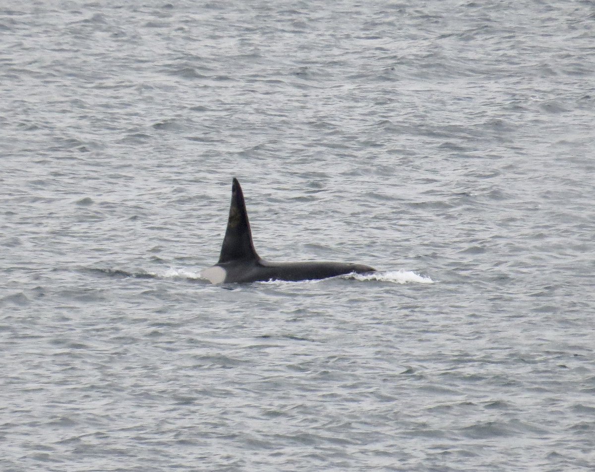 Rob Hughes tweet media