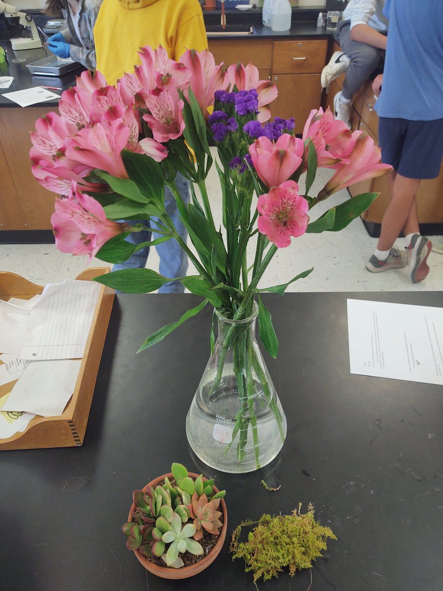 LPatchBHS's tweet photo. Diversity of Plants and Animals in Biology @BrevardHS https://t.co/b716lc5XYI
