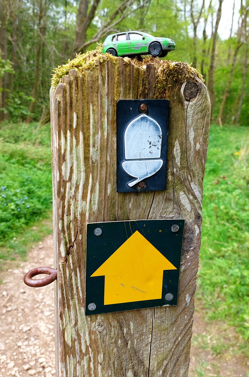 snazzle_pants's tweet photo. My fave four from today. 15 miles along @ClevelandWayNT from Sneck Yate to Helmsley. Recce for a section of my @HardmoorsUltras 110 relay on 28/29 May in memory of my boy on his 10th anniversary. @NationalTrails #followtheacorn #favefour #trailrunning https://t.co/3BIuEKsPlT https://t.co/6qqBV1sJ4w