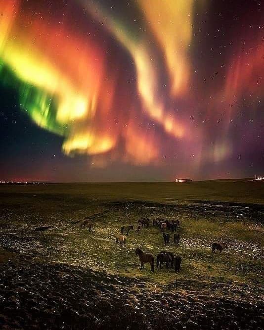 GentleFrank's tweet photo. #night #tonight #nightlife #nightinthewoods #sky #Skyline #photooftheday #PhotoFriday #PHOTOS #colores #colors #landscapephotography #landscaping https://t.co/vYlG5RuSTU