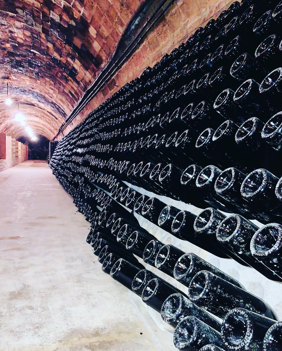 rcoll_wine's tweet photo. L’ORIGAN 🥂💫!
Cuando la pasión se plasma en producto y te hace volar… 
Gracias @carloslorigan 🎈
.
#vilaviniteca #uvasfelices #lorigan #docava #winelover https://t.co/53brBDr4hs
