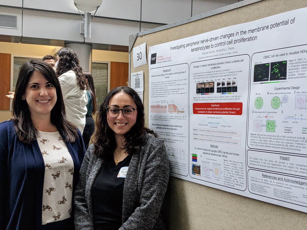 First poster presentation ever in the lab!! Very proud of my (Twitterless) student Rosy for doing a great job presenting her project at the Neuroscience Day here at <a href="/uofg/">University of Guelph</a> @UoG_Neuro
