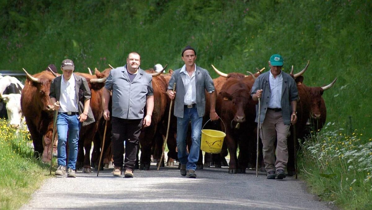 icielsass's tweet photo. Scheeni Üsschìschte, güedi Prodükte, wàs wìll m'r dann noch mehr? Ùff'm #Gsàng in #Moosch ìsch ebs los.
➡️ https://t.co/99kbjEKco2 https://t.co/ivO6RusVZH