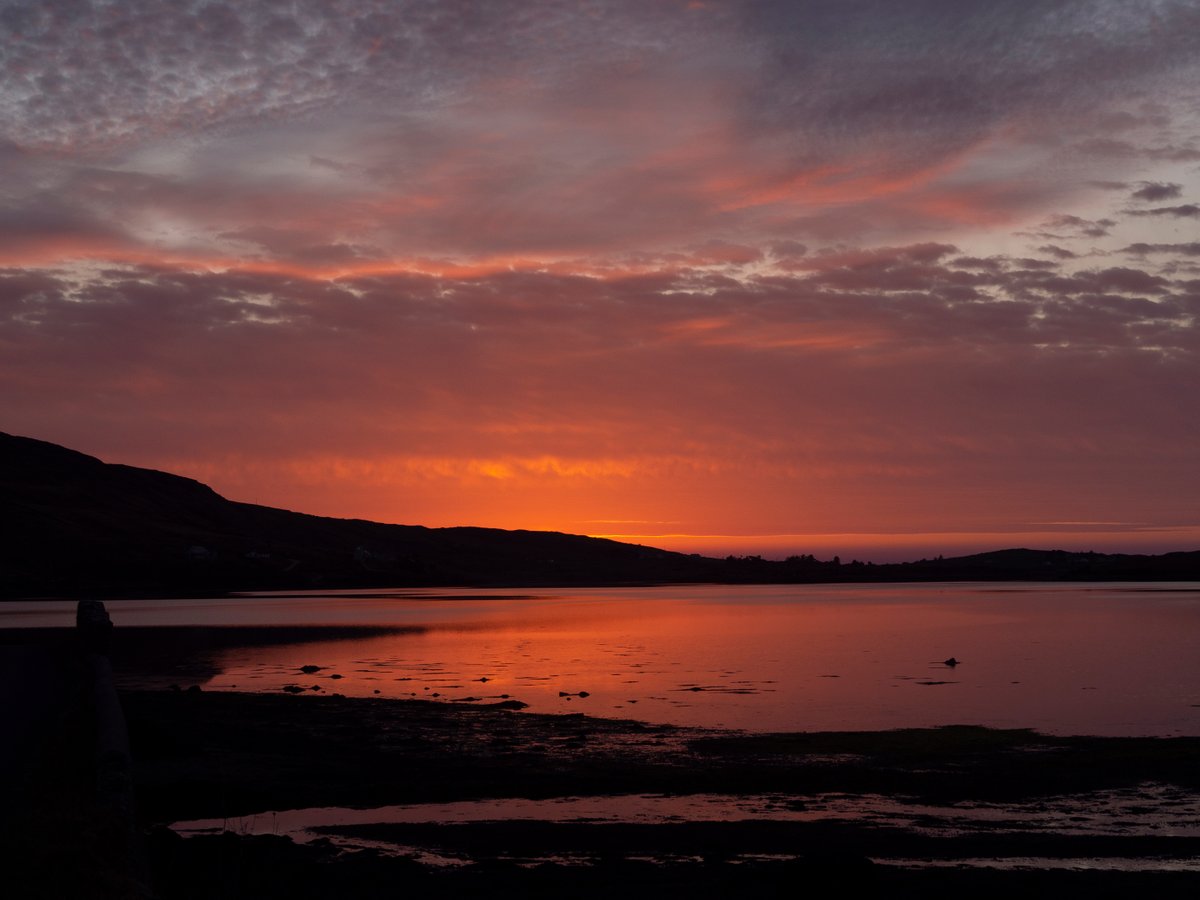 Real Adventures Connemara tweet media