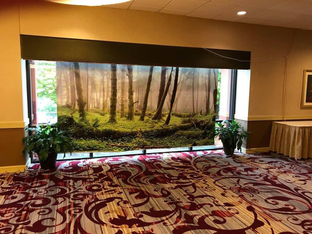 Conrad Weiser Prom 2023 tweet media