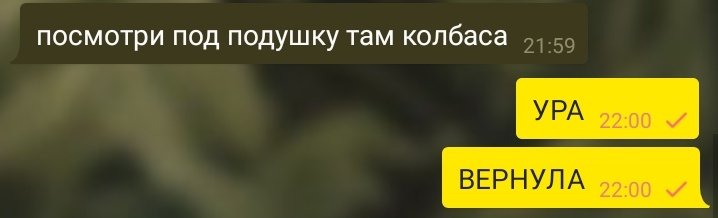 ТРЕВОГА ТРЕВОГА @lannovana ВЕРНУЛА КОЛБАСУ