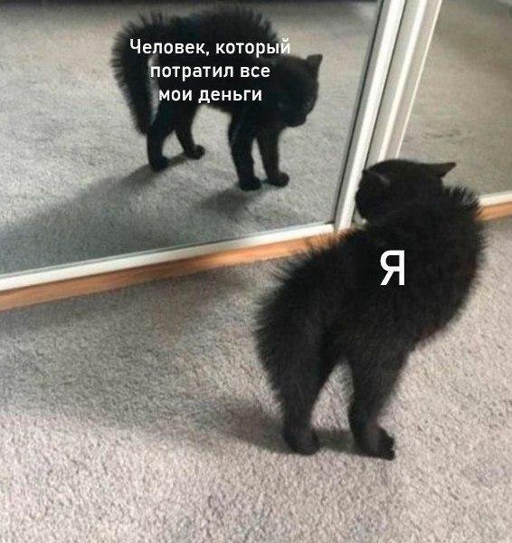 RussianMemesLtd's tweet photo. the person who spent all my money

me https://t.co/5z0FZfQAoX