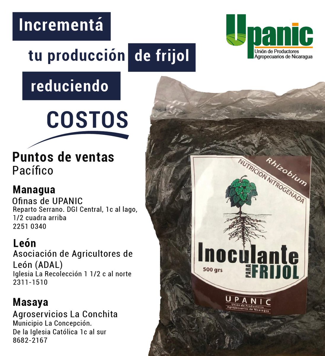 UPANIC_'s tweet photo. #Nitronat| Inoculante para frijol - Puestos de ventas
Use nuestro inoculante es altamente recomendado en la producción del cultivo de frijol, independiente de la variedad o categoría de la semilla por su efectos en la nodulación a partir de los 15 a 25 días después de la siembra. https://t.co/gdc57EcCz6
