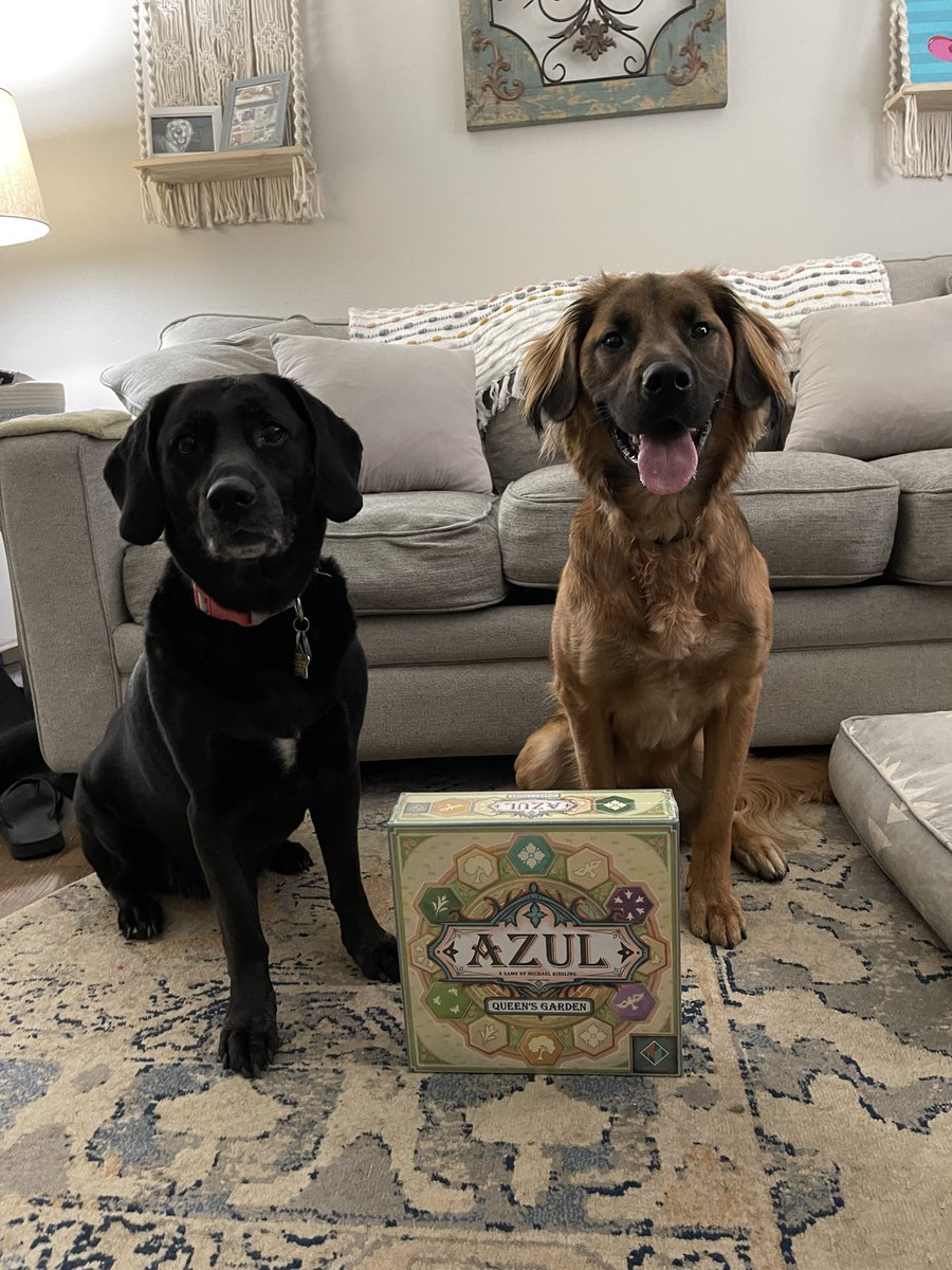npaxton12341's tweet photo. Thanks @MinnMaxShow for the awesome prize! Can’t wait to play this weekend! 😊 Make sure you follow @MinnMaxShow and check out their *amazing* content! You could win cool prizes like this too! (Cute dogs not included.) #minnmax https://t.co/AUwPH2bLDQ