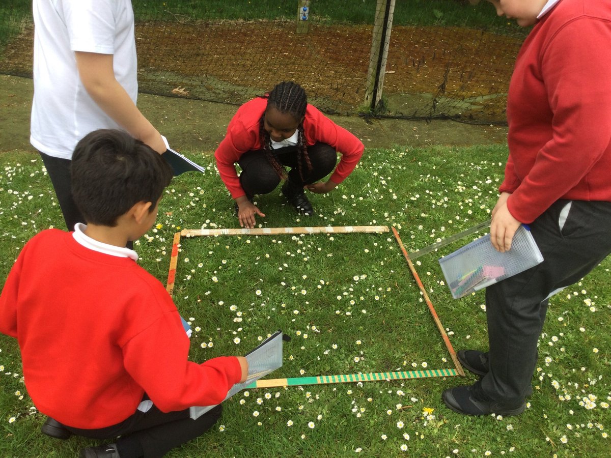 SchoolMillfield's tweet photo. Our Year 5 class had a day at Beaudesert this week and took their Maths learning outside. They also did a nature walk and other bushcraft activities 😃 https://t.co/76ABv3mKFG