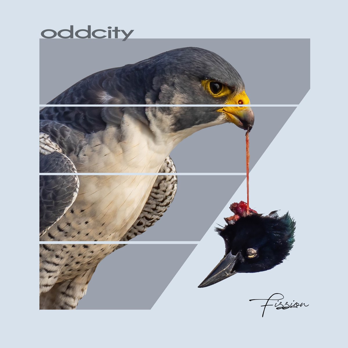 Today we drop our first full length album, Fission. Check it out at your favorite place to listen below. 

Music: apple.co/3LSc426 
Youtube: bit.ly/38UIdr9 
Amazon: amzn.to/3yj0aKx 
Bandcamp: bit.ly/3MWJMni