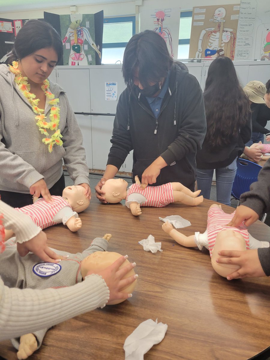 jghsace1's tweet photo. Busy day ACE seniors are getting CPR &amp; First Aid certified! Thank you to Ms. Garcia for creating a fun and educational class. 

 @GlennEaglesSoar @NLMUSDPathways @nlmusd https://t.co/1YxEr7ZoEA