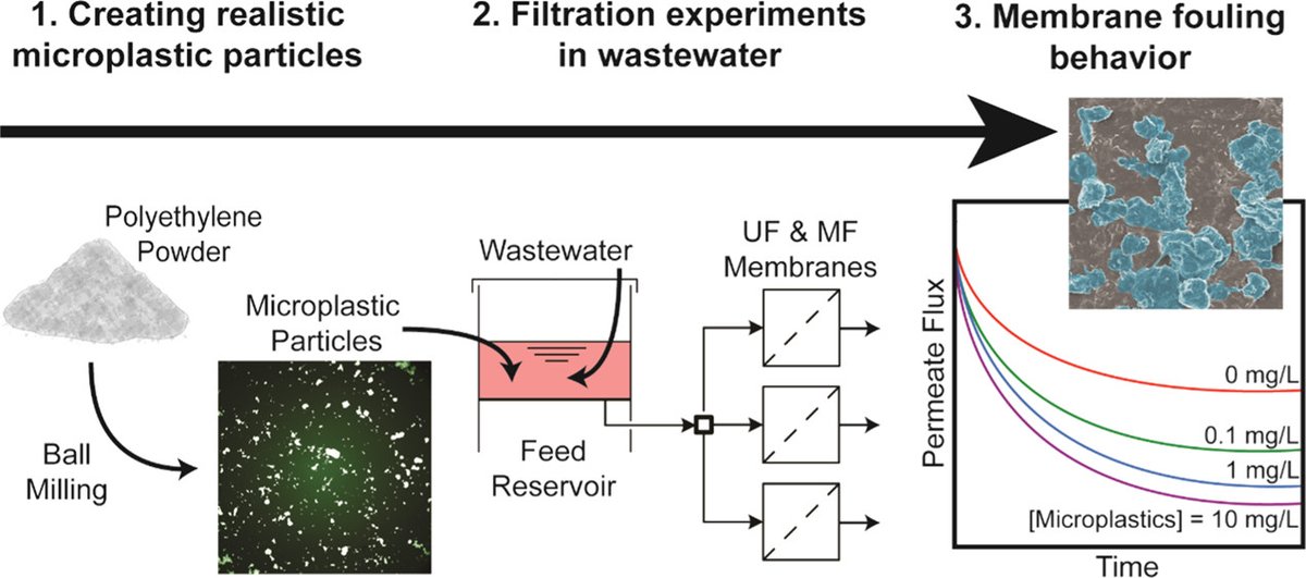 LatulippeLab's tweet image. A great way to end off Friday: reading Ryan's awesome paper on microplastics in ACS ES&amp;amp;T Water 😍😍@ACSPublications 

doi.org/10.1021/acsest…

#microplastics #plasticpollution
