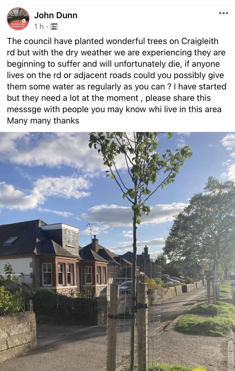 A request from a @Florasprimary parent to water the new trees on Craigleith Road if you are nearby #trees #craigleith #florasfamily