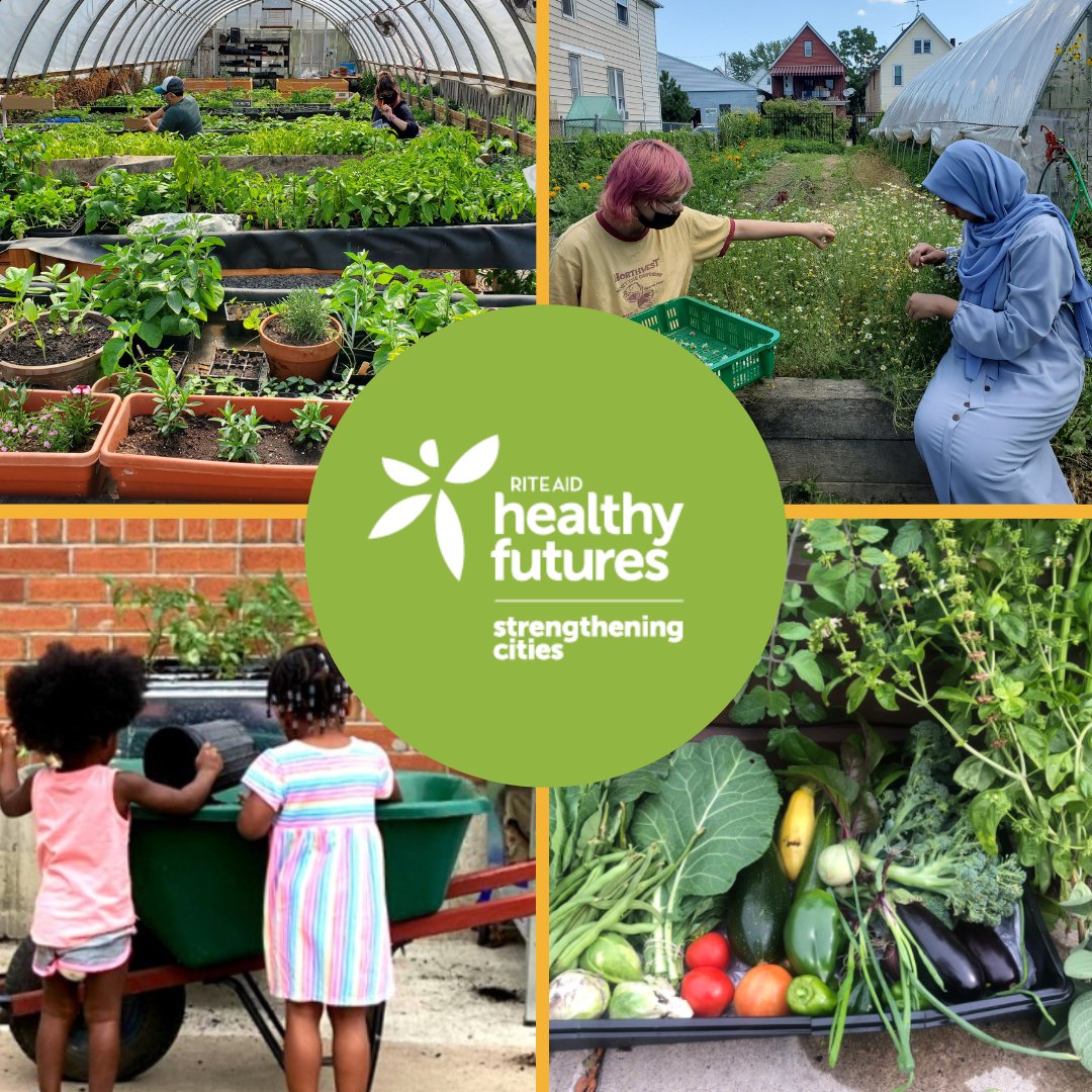 RAHFCharities's tweet photo. Spring means the start of the planting season for urban farms and community gardens! We’re excited to share images from years past, from #StrengtheningCities partners @MassAveProject and @GGWNY in #Buffalo!
#PositiveChangeTogether #communitygardens #nonprofit https://t.co/oJS8HtUNh9