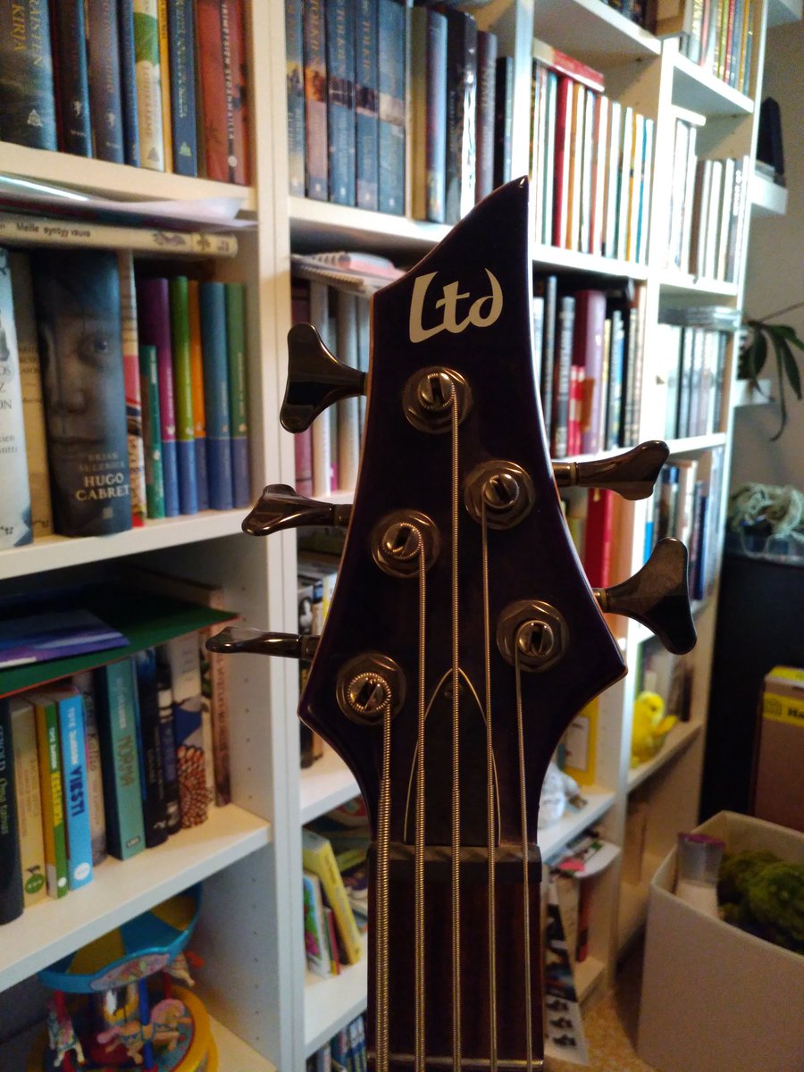 FinTomoki's tweet photo. It's been a while since recording anything. Got an opportunity to play the bass for an upcoming release to be released under the name Trse, which is a new project by @torsotree https://t.co/RkwrpSp2Hv