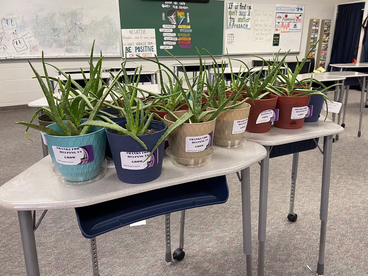 A Vasquez Grissom tweet media