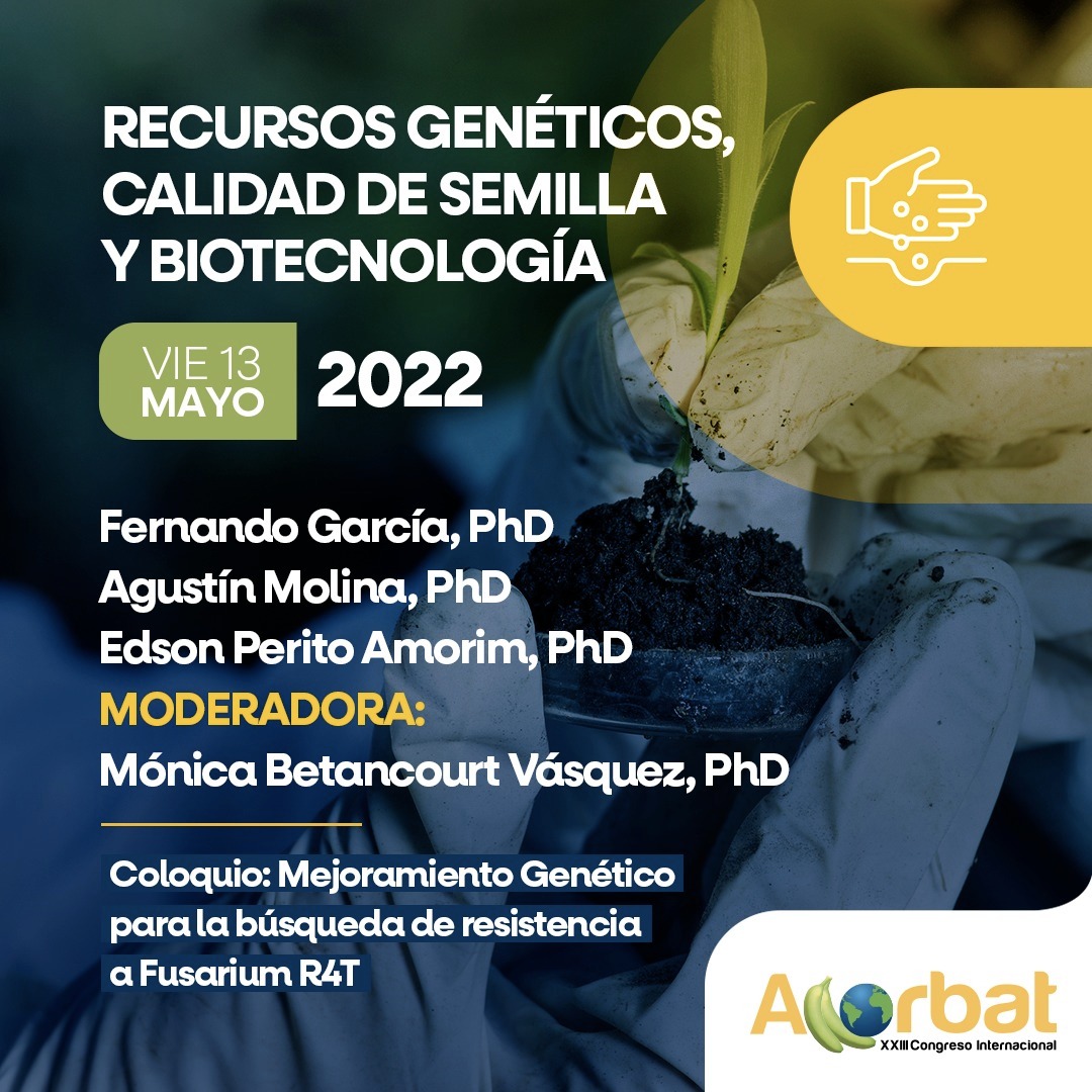 DrBananaGarcia's tweet photo. I will be at Acorbat, the international #Musaceae scientific congress, talking about banana breeding and Fusarium TR4. This is my first international (face to face) meeting since 2019 -scary!-.
Nice to meet colleagues and friends again.
See you in Miami
#Acorbat2022 #TR4 https://t.co/es3vm1lhP2