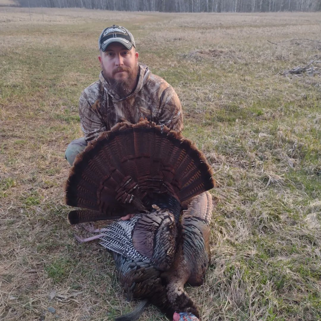 jgbassin's tweet image. Got it done the other night one of my quickest hunts ever. About 12 minutes of hunting time and about a 10-yard shot. Man I love hunting these birds. #turkeyhunting #Wisconsin #thunderchicken #funhunting #turkeydinner