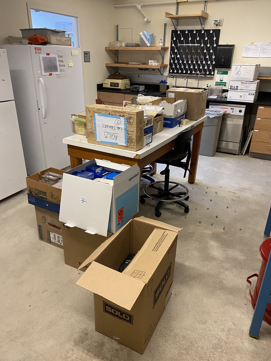 The MBL gets very quiet and lonely when a course ends. #AQLM2022