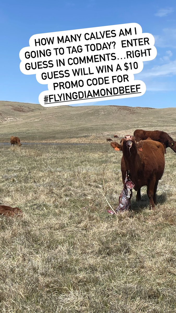 jaclyn wilson tweet media