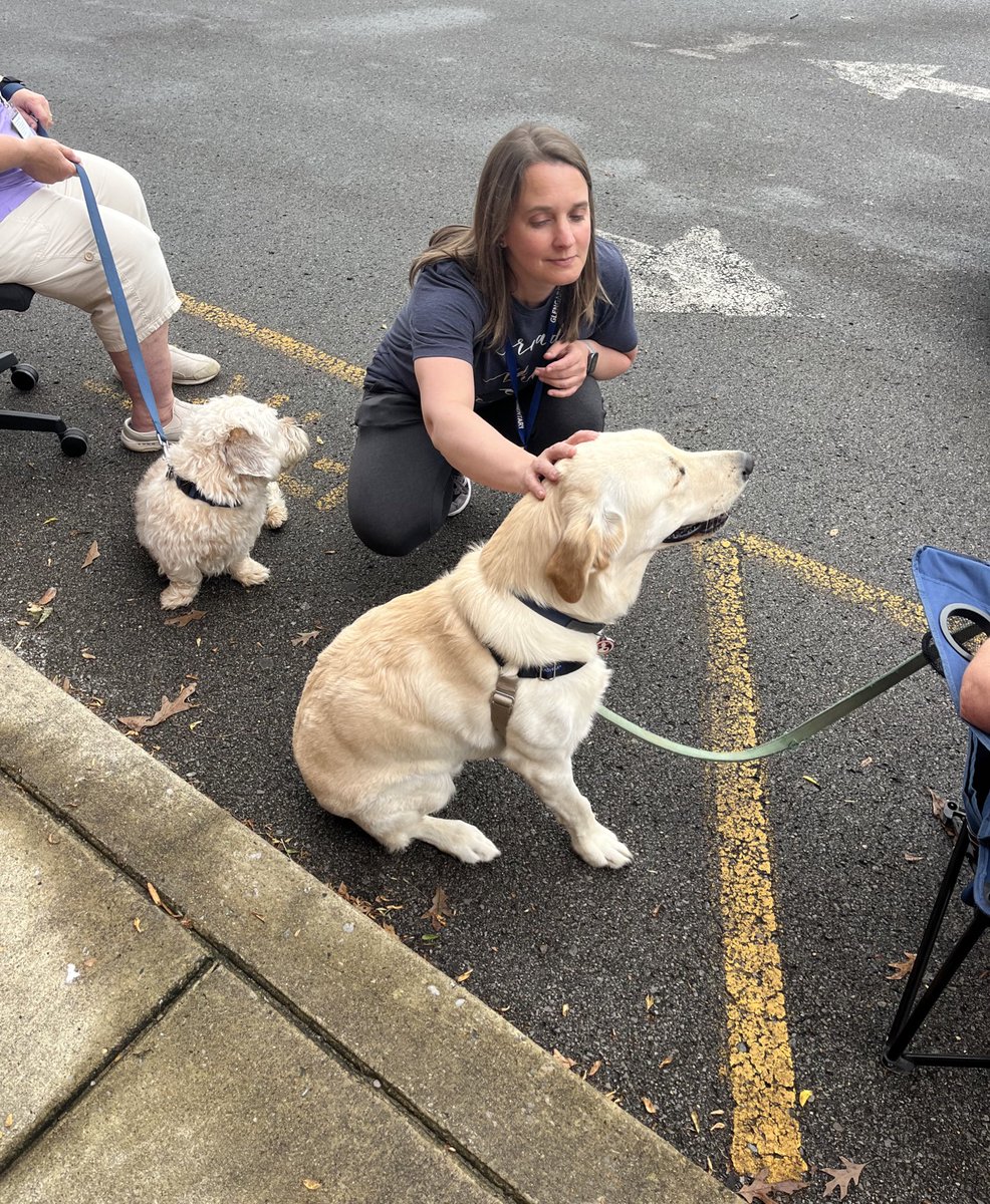 LindsKimery's tweet image. We LOVED celebrating our amazing team of librarians and clerks at our end of the year drive thru! 💙📚💛 Thank you to @LimitlessLib, @vucommodores, @zoobeanreads, @MackinLibrary, and #MusicCityPetPartners for helping make our drive thru super special! #mnpslibhack